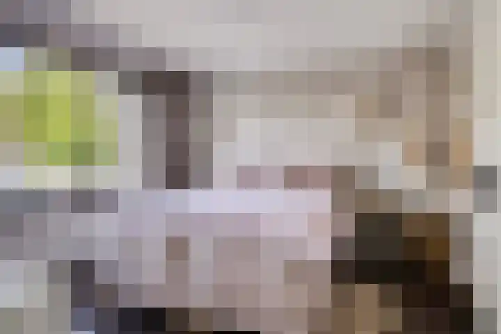 Italiëlaan 22 Eindhoven thumbnail 18