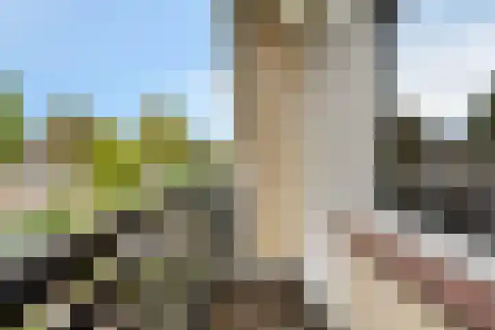 Italiëlaan 22 Eindhoven thumbnail 21