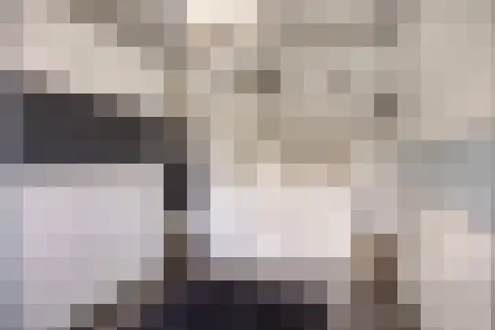 Italiëlaan 22 Eindhoven thumbnail 23
