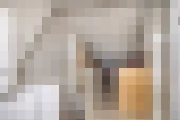 Italiëlaan 22 Eindhoven thumbnail 26