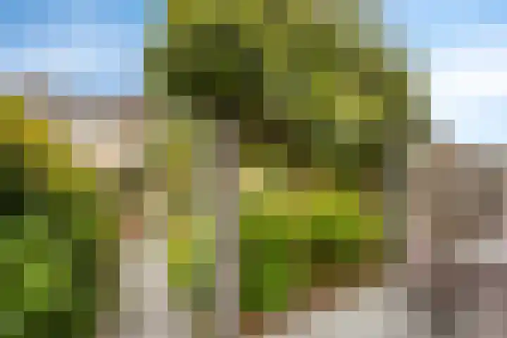 Italiëlaan 22 Eindhoven thumbnail 31