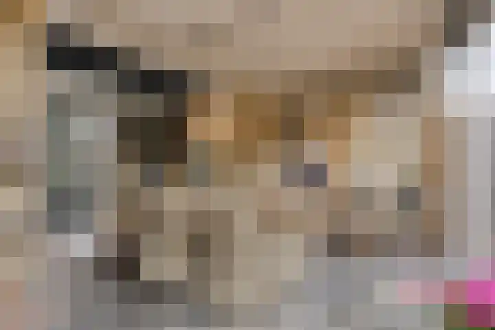 Italiëlaan 22 Eindhoven thumbnail 33
