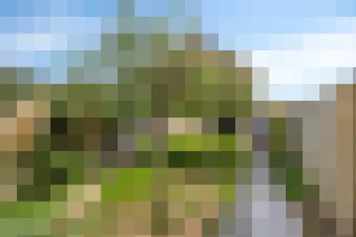 Italiëlaan 22 Eindhoven thumbnail 34