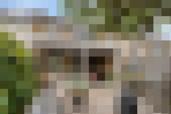 Italiëlaan 22 Eindhoven thumbnail 35