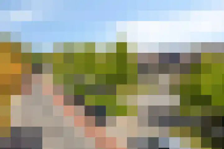 Italiëlaan 22 Eindhoven thumbnail 36