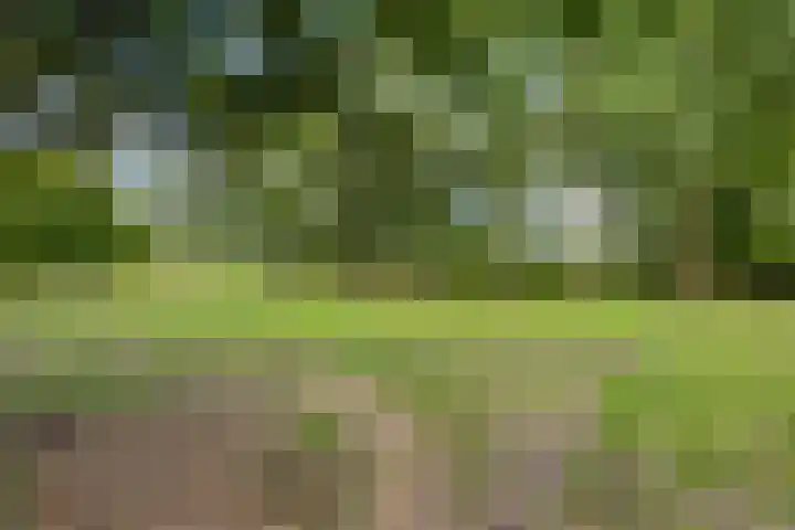 Italiëlaan 22 Eindhoven thumbnail 40