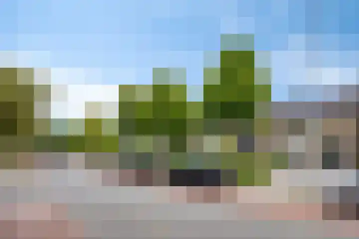 Italiëlaan 22 Eindhoven thumbnail 41