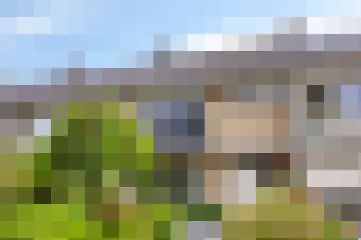Italiëlaan 22 Eindhoven thumbnail 7