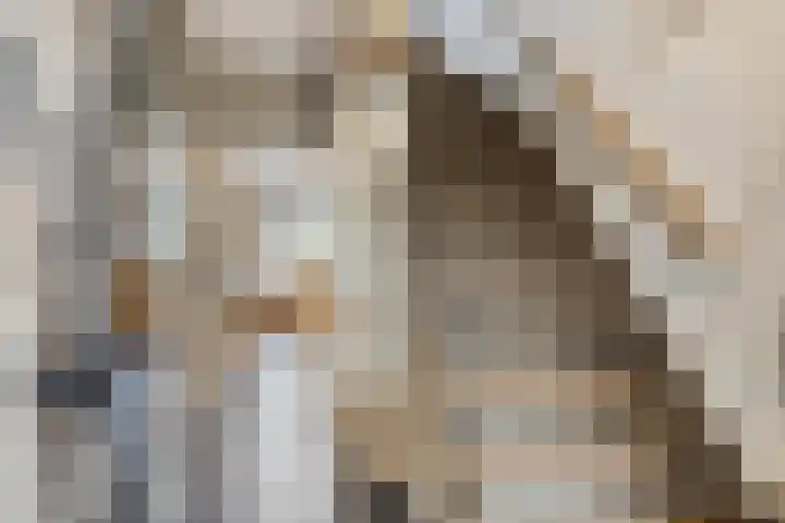 Italiëlaan 22 Eindhoven thumbnail 9