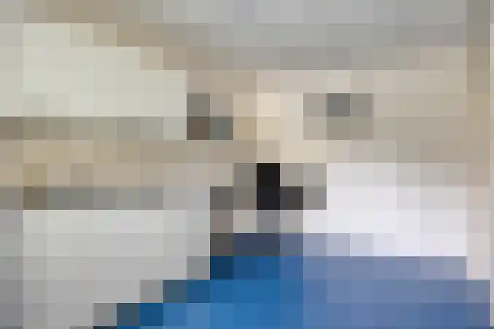 Italiëlaan 23 Eindhoven thumbnail 13