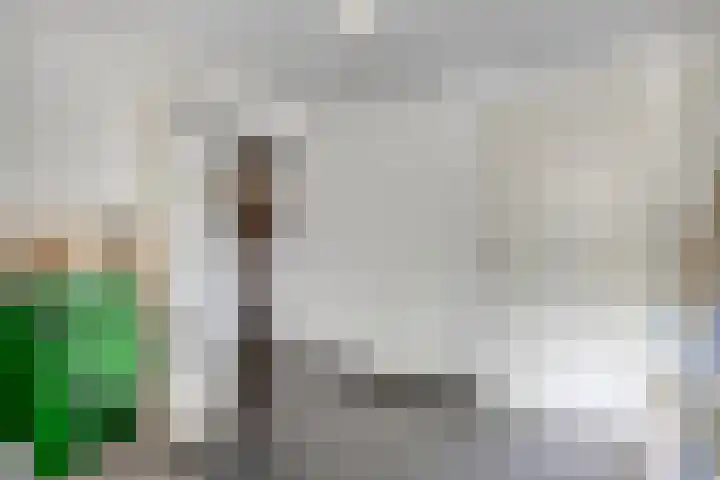 Italiëlaan 23 Eindhoven thumbnail 19