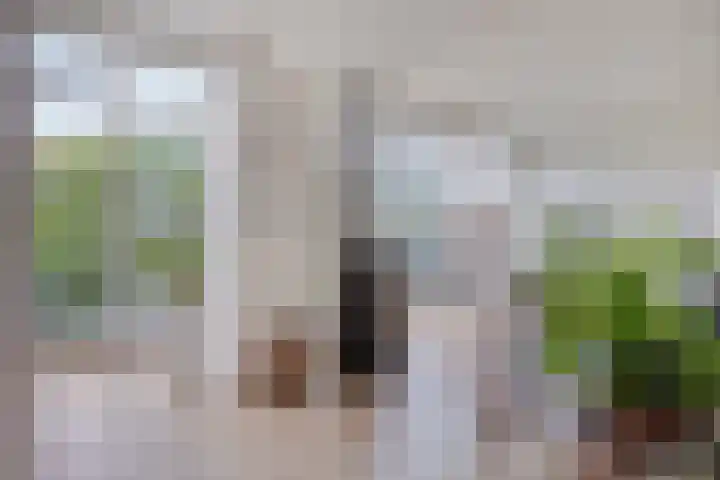 Italiëlaan 23 Eindhoven thumbnail 23