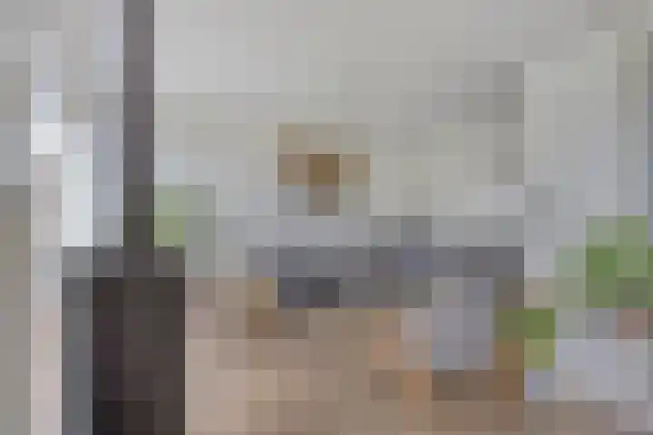 Italiëlaan 23 Eindhoven thumbnail 24
