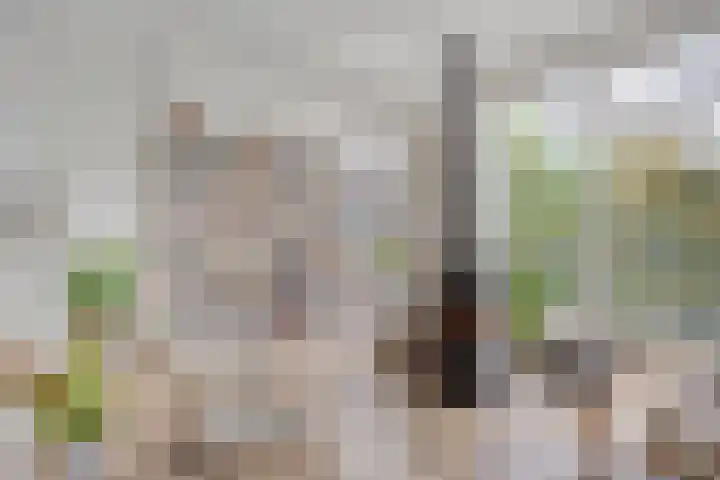 Italiëlaan 23 Eindhoven thumbnail 26