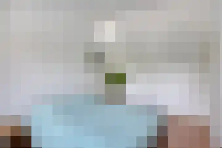 Italiëlaan 23 Eindhoven thumbnail 29