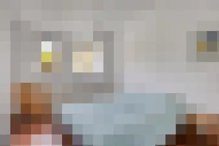 Italiëlaan 23 Eindhoven thumbnail 4