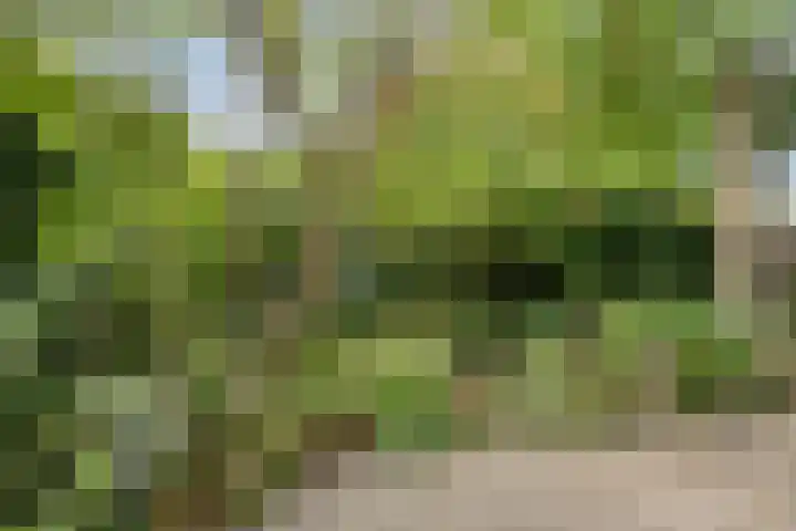 Italiëlaan 23 Eindhoven thumbnail 41