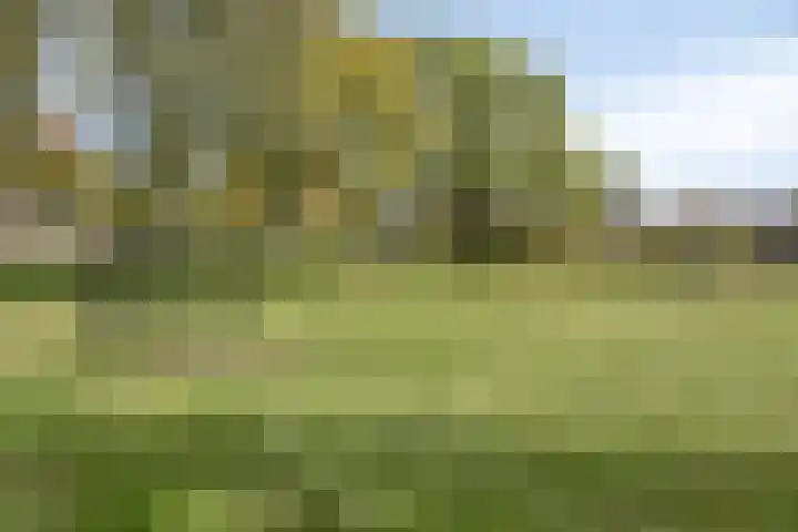 Italiëlaan 23 Eindhoven thumbnail 43
