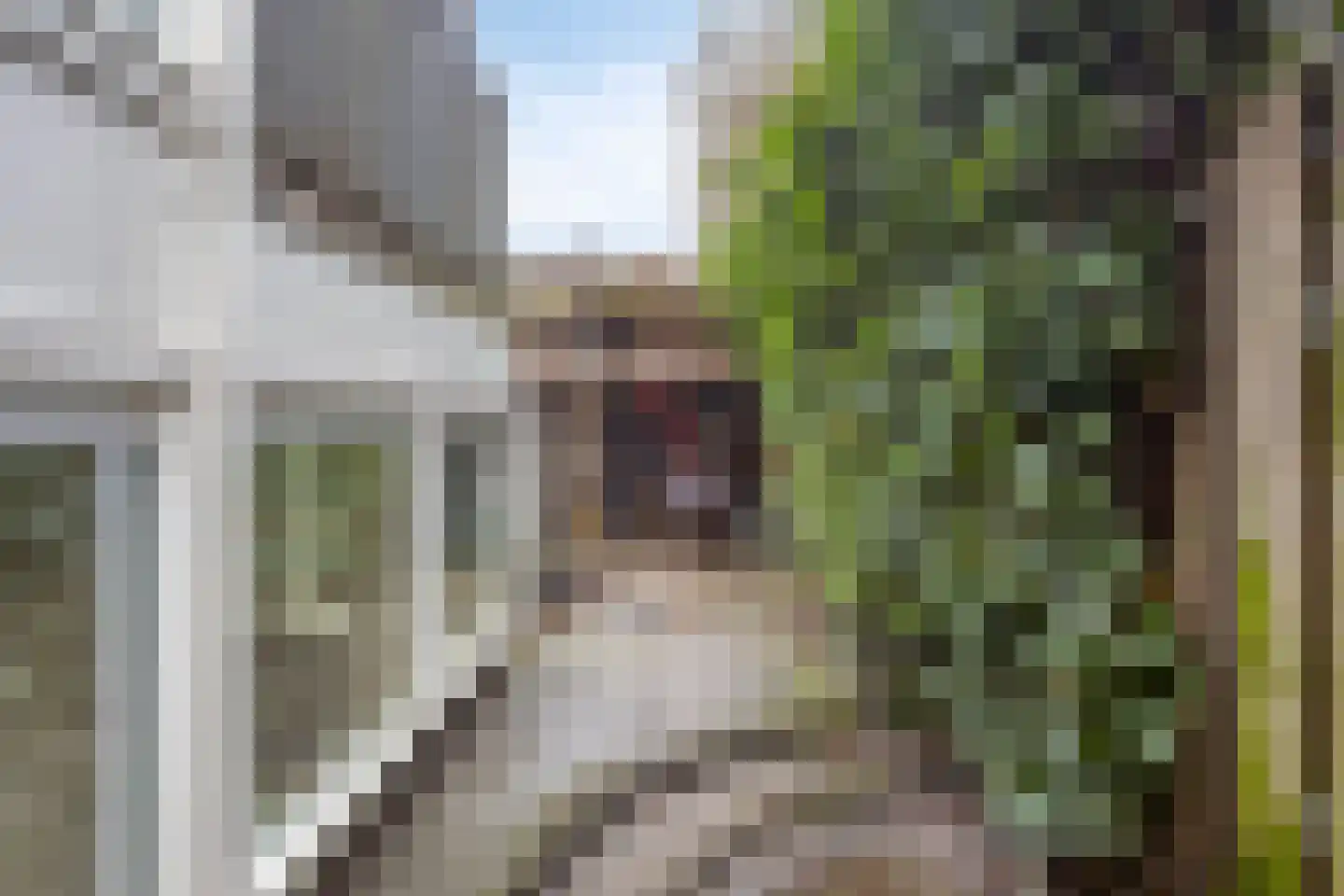 Italiëlaan 25 Eindhoven thumbnail 37