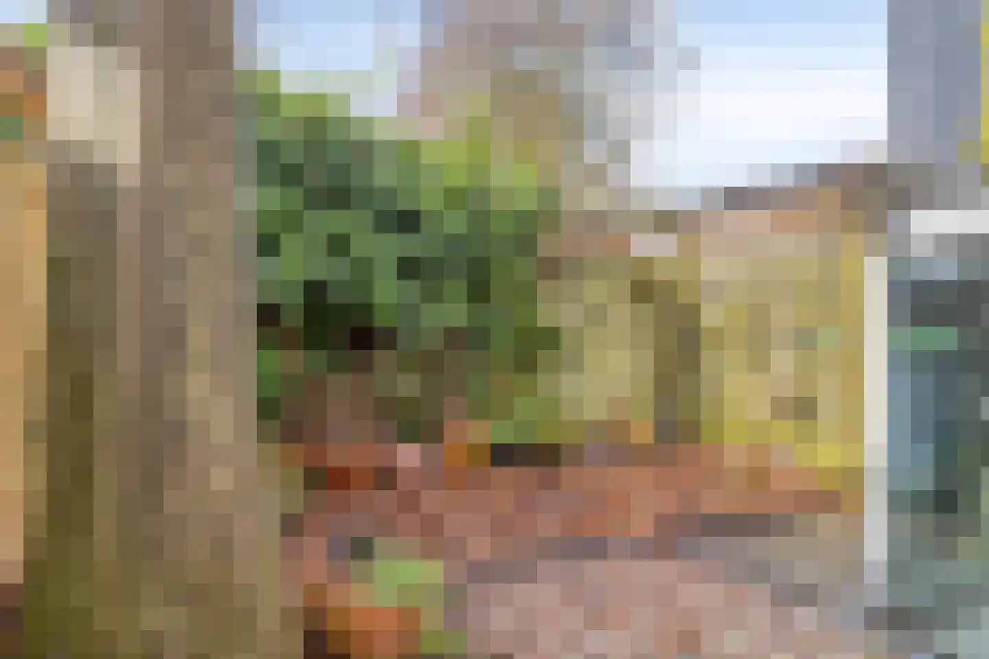 Italiëlaan 25 Eindhoven thumbnail 41