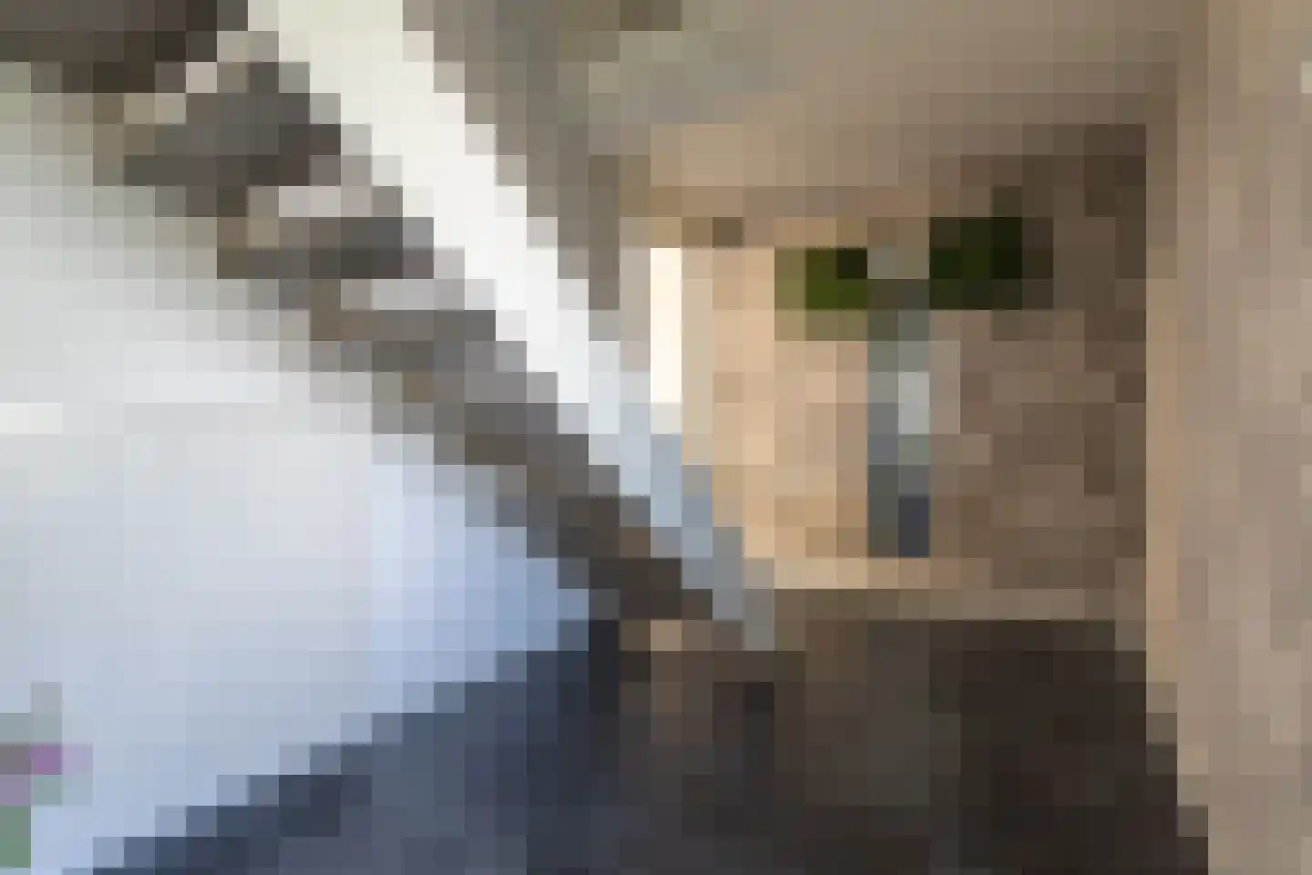 Italiëlaan 3 Heerlen thumbnail 20