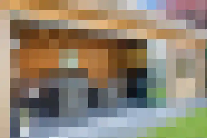 Italiëlaan 3 Schoonebeek thumbnail 15