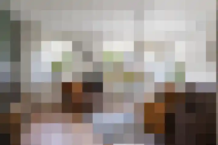 Italiëlaan 3 Schoonebeek thumbnail 18