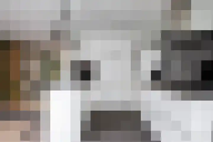 Italiëlaan 3 Schoonebeek thumbnail 25