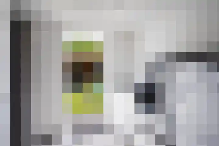 Italiëlaan 3 Schoonebeek thumbnail 28