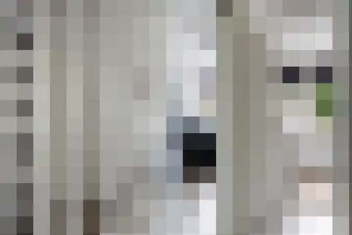Italiëlaan 3 Schoonebeek thumbnail 31