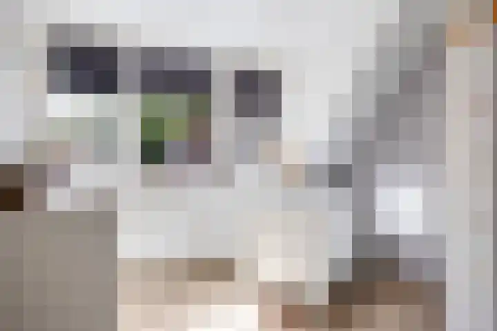 Italiëlaan 3 Schoonebeek thumbnail 37
