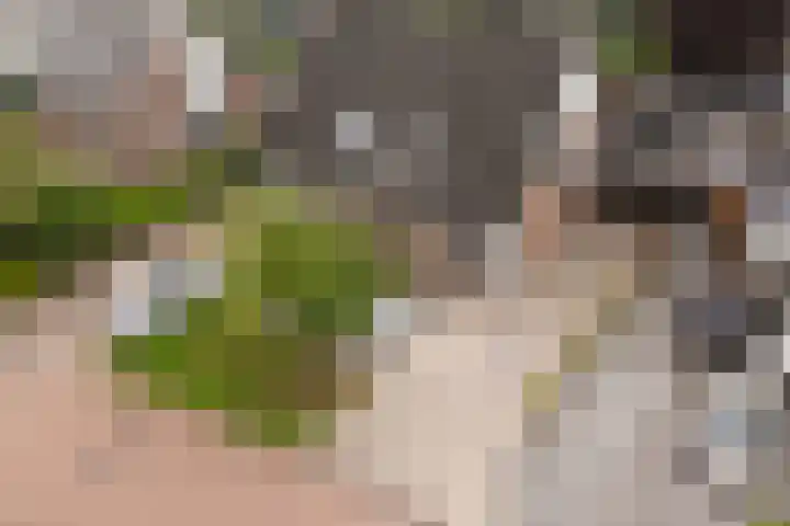 Italiëlaan 5 Schoonebeek thumbnail 10