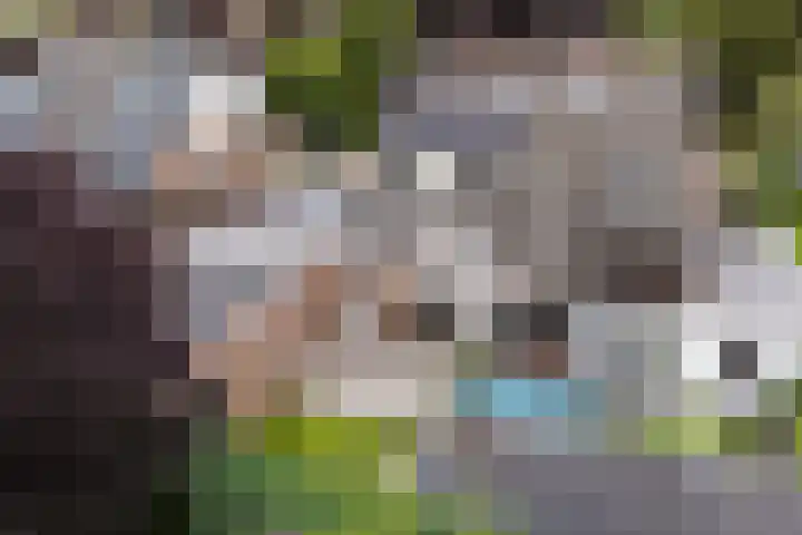 Italiëlaan 5 Schoonebeek thumbnail 11