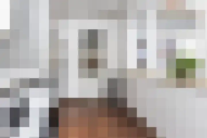 Italiëlaan 5 Schoonebeek thumbnail 28