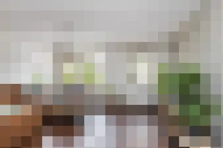 Italiëlaan 5 Schoonebeek thumbnail 4