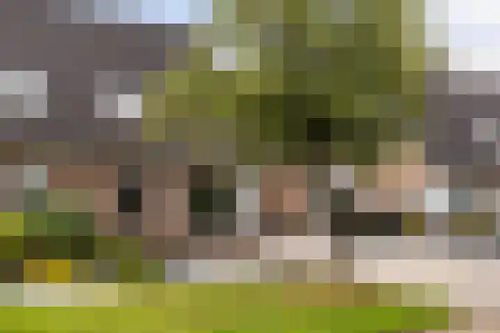 Italiëlaan 5 Schoonebeek thumbnail 9