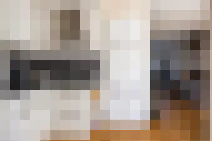 Italiëlaan 8 Schoonebeek thumbnail 19