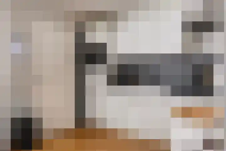 Italiëlaan 8 Schoonebeek thumbnail 21