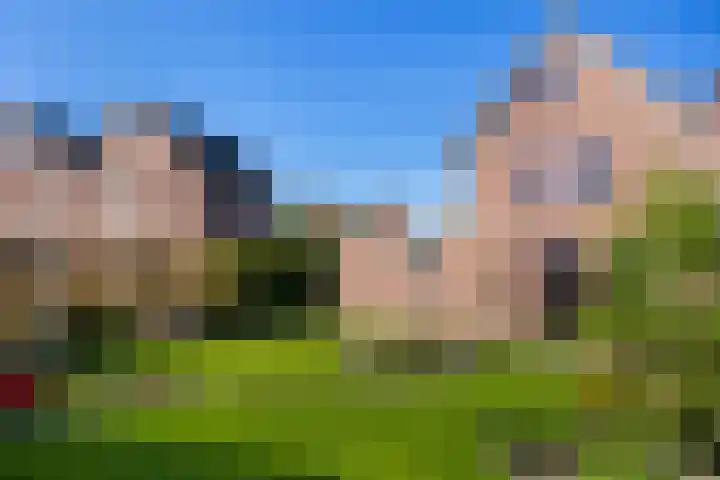 Italiëlaan 8 Schoonebeek thumbnail 39