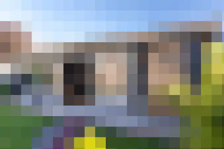 Italiëlaan 8 Schoonebeek thumbnail 41