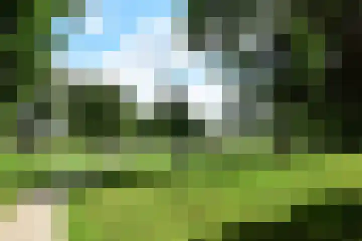 Italiëlaan 8 Schoonebeek thumbnail 46