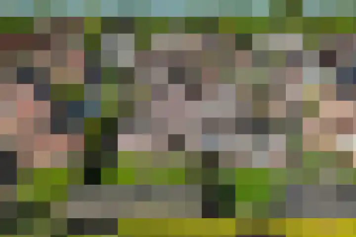 Italiëlaan 8 Schoonebeek thumbnail 5