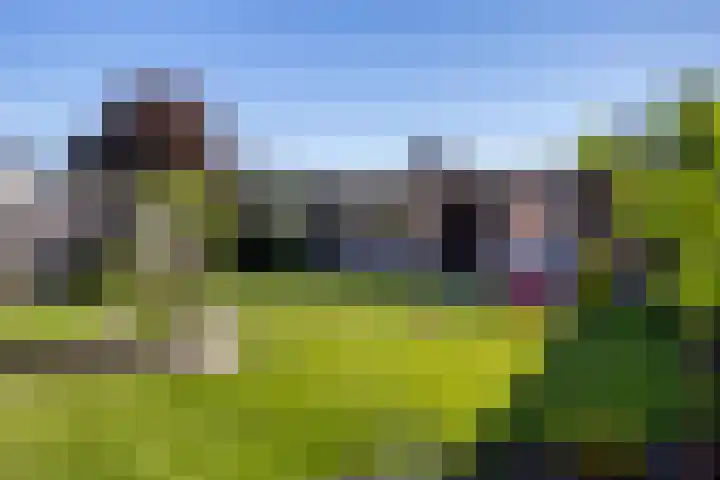 Italiëlaan 8 Schoonebeek thumbnail 6