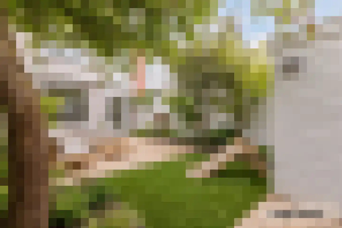 Italiëlaan 87 Beverwijk thumbnail 12
