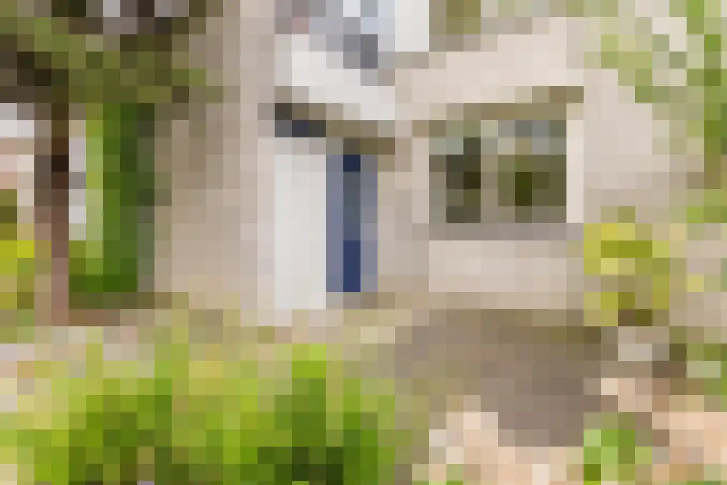 Italiëlaan 87 Beverwijk thumbnail 44