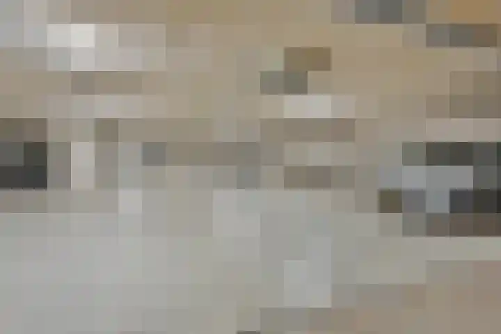 Italiëstraat 12 Almere thumbnail 24