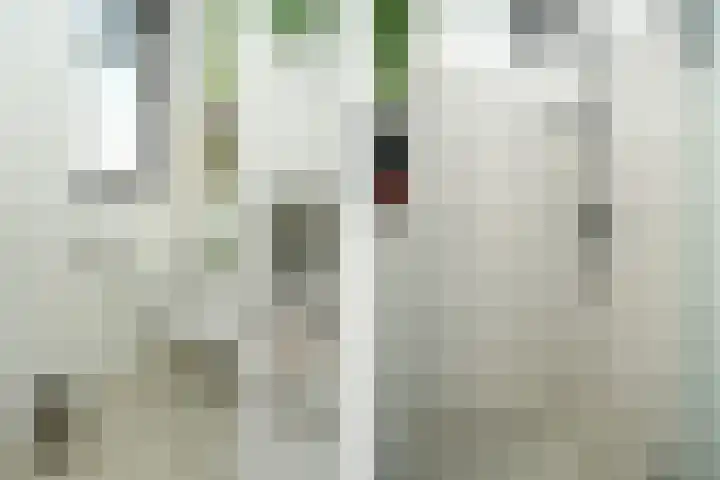Italiëstraat 30 Lent thumbnail 28