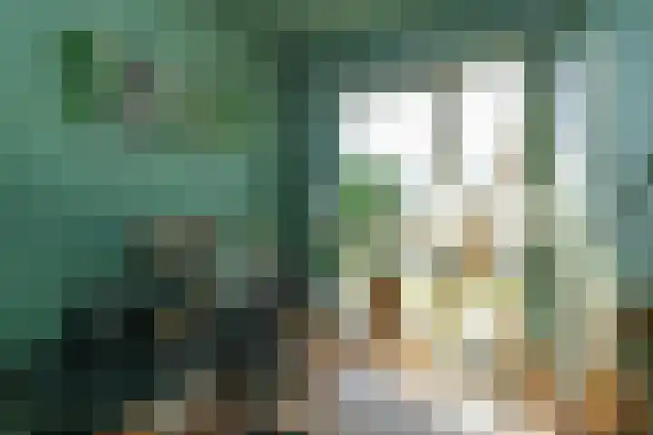 Italiëstraat 30 Lent thumbnail 33