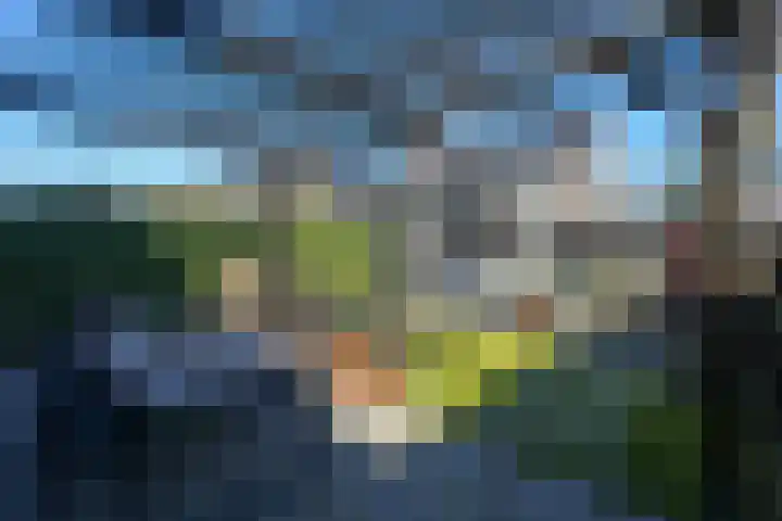 Italiëstraat 30 Lent thumbnail 4
