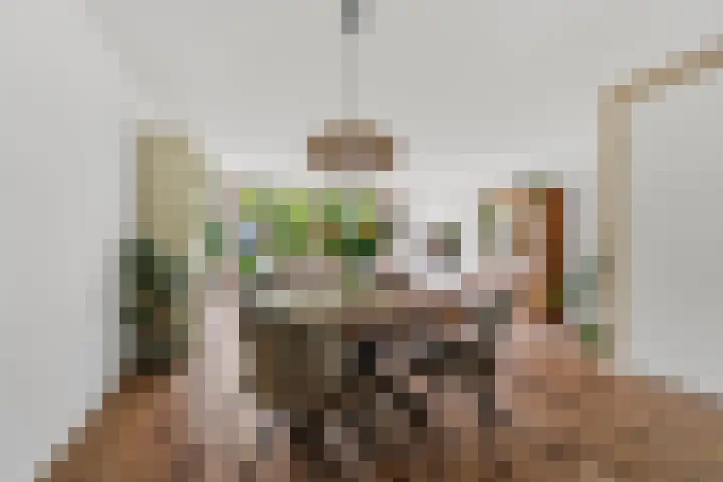Italiëstraat 90 Lent thumbnail 13
